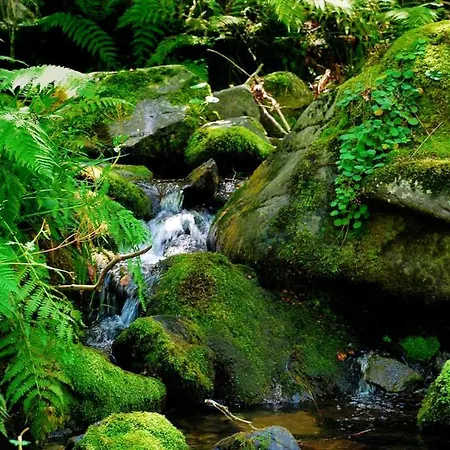 Charming House In With Garden. Holiday home