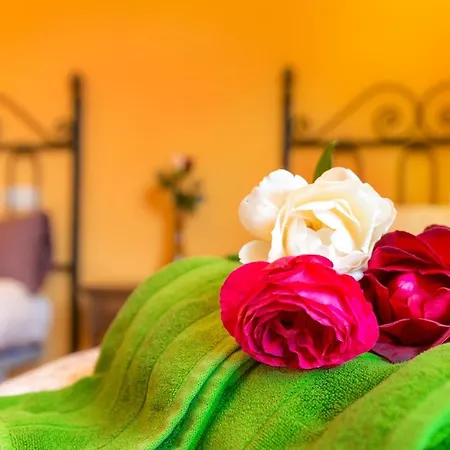 Charming House In With Garden. 別荘 Fresneda de la Sierra Tirón