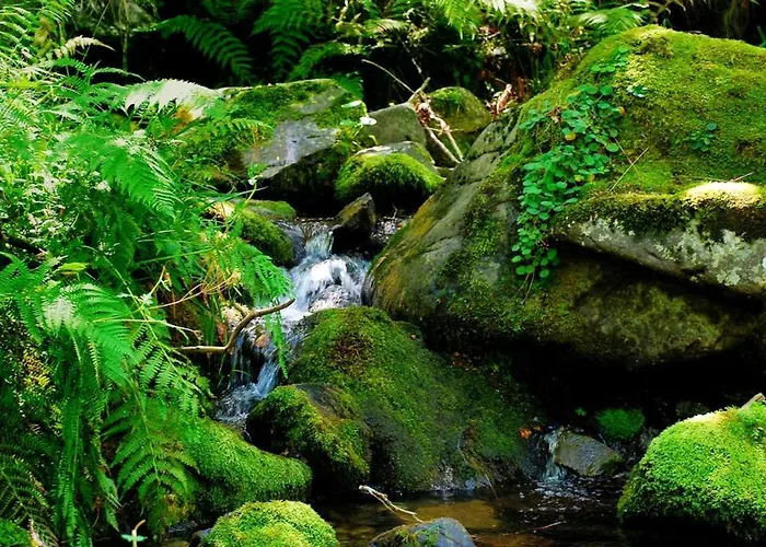 Charming House In With Garden. 別荘