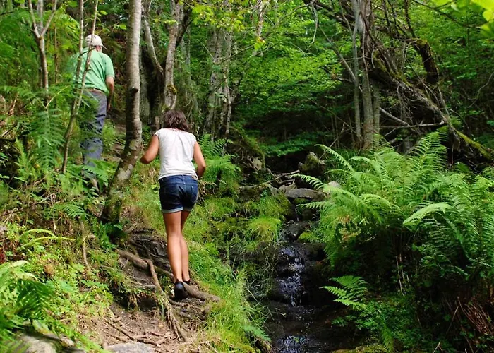 Charming House In With Garden. * Fresneda de la Sierra Tirón
