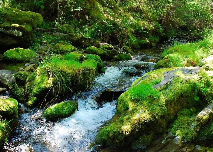 Charming House In With Garden. 別荘 *